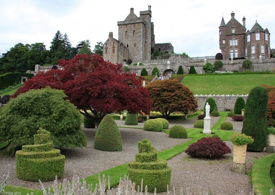 Drummond Castle Garden
Some example of the topiary at [url=http://www.drummondcastlegardens.co.uk/] Drummond Castle Gardens. [/url]
