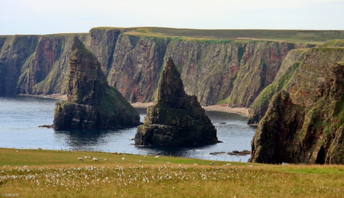 The sea stacks at Duncansby Head, Caithness
