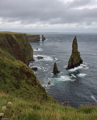 Duncansby Head Stacks, Caithness
Looking North East from Duncansby Head, in the distance the small Island of Muckle Skerry can be seen.  [url=http://www.streetmap.co.uk/map.srf?X=339811&Y=972031&A=Y&Z=115/] Map location. [/url]
