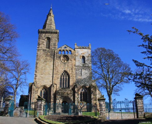 Dunfermline Abbey
This is a view of the East end of the Abbey, referred to as the "old Church".  It dates from the 12th century and was built on the foundations of an earlier Benedictine Abbey founded by Queen Margaret in the 11th century.  [url=http://streetmap.co.uk/map.srf?X=308927&Y=687311&A=Y&Z=115/] Map location. [/url]
