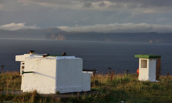 Dunnet Head ROC Post, 2009
The ROC post at Dunnet Head photographed in 2009.  It appears to have had a make over having been painted white probably because this is a popular tourist spot and view point. The evening sun is catching the cliffs of Orkney in the distance. [url=http://www.streetmap.co.uk/map.srf?X=320434&Y=976583&A=Y&Z=115/] Map location. [/url]
