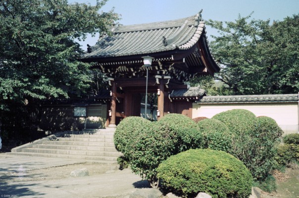 Homyoji Temple. Tokyo 1985
A Nichiren Buddhist temple housing Kishimojin (Hariti), the deity of easy childbirth.  The temple may have been founded in 810AD but the buildings were destroyed by the Kanto Earthquake and air raids during World War II but has been reconstructed since then.
