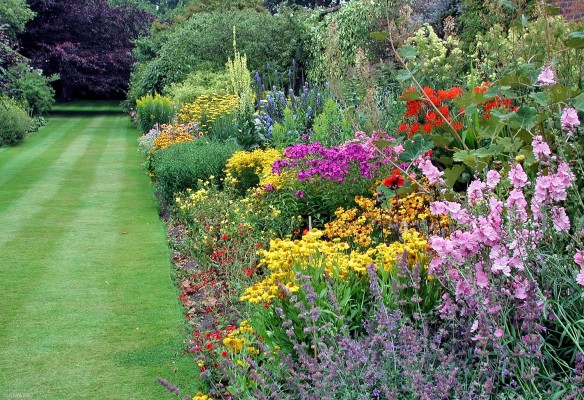 Falkland Palace gardens
If you visit Falkland Palace in summer the gardens at the rear are a blaze of colour.

