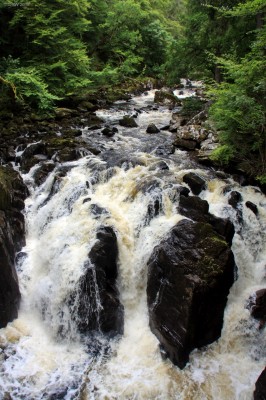 The Falls of Braan, The Hermitage, Dunkeld
A view of the River Braan as seen from the viewing area at Ossians Hall.
