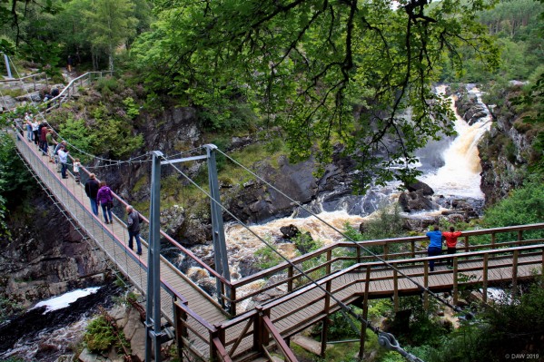Falls of Rogie Footbridge
On a journey north on the A835 the Falls of Rogie make a good stopping point to stretch your legs.  [url=http://streetmap.co.uk/map.srf?X=244474&Y=858457&A=Y&Z=115/] Map location. [/url]
