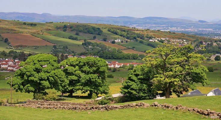 The Fereneze Braes from Dyke Hill
[url=http://www.streetmap.co.uk/map.srf?X=248892&Y=656105&A=Y&Z=115/] Map location. [/url]
