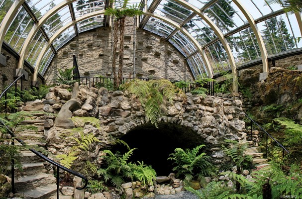 Inside the Fernery, Benmore Botanic Garden
In Victorian times Ferneries were very popular, this one was built in the 1870's by James Duncan, a Greenock sugar refiner, when he acquired the 48 hectare Benmore Estate.  After being a ruin for many years it was fully restored and re-opened to the public in 2009.
