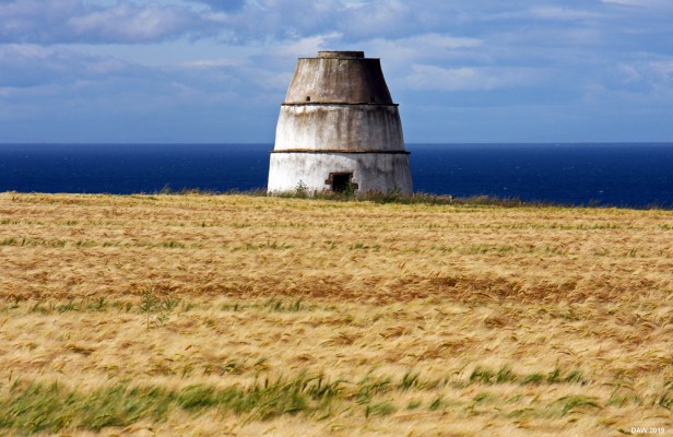 The Findlater Doocot
This 16th century behive Doocot was associated with the nearby Findlater Castle, it contains some 700 nesting boxes.  [url=http://streetmap.co.uk/map.srf?X=354075&Y=866695&A=Y&Z=120/] Map location. [/url]
