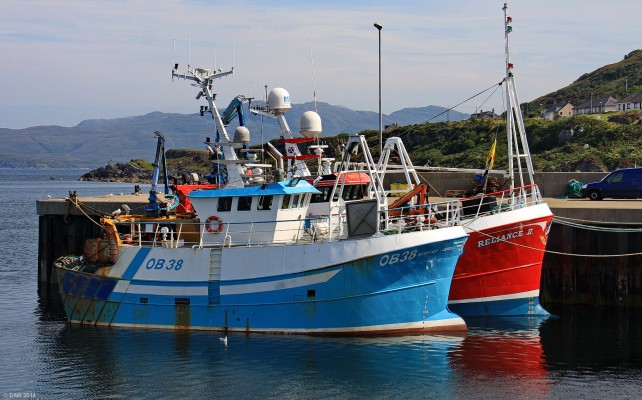 Fishing boats, Mallaih Harbour
[url=http://streetmap.co.uk/map.srf?X=167646&Y=797204&A=Y&Z=115/] Map location. [/url]
