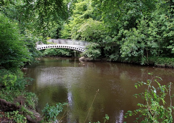 Linn Park, Glasgow
The white Bridge, or halfpenny Bridge over the River Cart in Linn Park.  Built in 1835 it is said to be the oldest cast iron bridge in Glasgow.  At 200 acres this is Glasgow second largest park.  Glasgow Corporation aquired the land in 1919 from the Maxwell family of Pollock House.  [url=http://www.streetmap.co.uk/map.srf?X=258055&Y=659242&A=Y&Z=115/] Map location. [/url]
