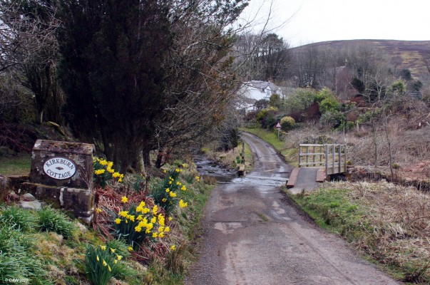 Ford, Kirkburn, Durisdeer
Its not very common to come across a ford on a public road in Scotland, I regretted going down here in my car as soon as I saw it!  [url=http://streetmap.co.uk/map?X=289300&Y=603700&A=Y&Z=120/] Map location. [/url]
