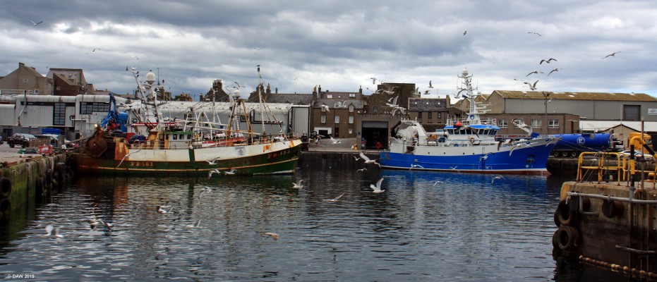 Fraserburgh Harbour
The busy fishing harbour of Fraserborough.  The harbour here was developed between 1807 and 1840 when at its peak there was over 220 boats in the herring fleet.   
