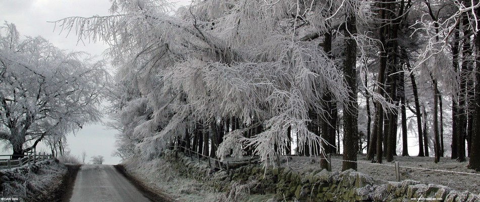 Frozen forest, Lochliboside Hills
A hard frost turns the trees on Lochliboside Hills into a winter wonderland.  [url=http://www.streetmap.co.uk/map.srf?X=246155&Y=657447&A=Y&Z=120/] Map location. [/url]
