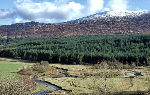 Galloway Forest, winter
Looking over to Craignarget Hill from the footpath up to Murray's Monument, Patnure burns winds along the valley below.  [url=http://www.multimap.com/map/browse.cgi?lat=55.0196&lon=-4.3634&scale=25000&icon=x/]Map location.[/url]
