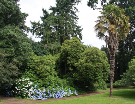 Galloway House Gardens, near Garlieston
[url=http://www.gallowayhousegardens.co.uk/] Galloway House Gardens [/url] are part of the estate around Galloway house.  The house is private but the gardens are open to the public and consist mainly of an arboretum with access to the shore.  There is a walled garden but due to its condition it is not open to the public.  
