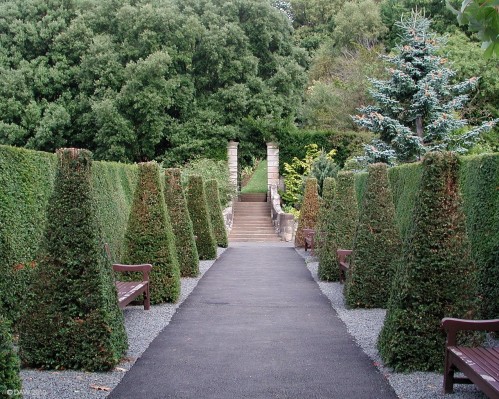 Gardens, Pollock House, Glasgow
It was Sir John Stirling Maxwell who had the greatest impact on the gardens at Pollock House, he was an expert horticulturalist and a keen  collector of new and exotic plants from around the world.
