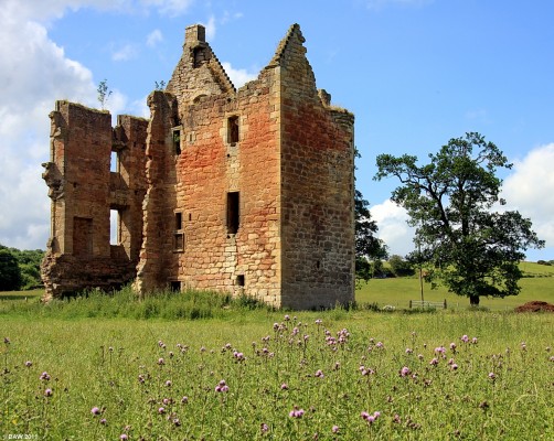 Gilbertfield Castle, Cambuslang
The ruins of Gilbertfield lie between Cambusland and East Kilbride just outside Glasgow.  It was built in the 17th century as a large Tower House.  In the 18th century it was lived in by the writer William Hamilton.  He was responsible for translating Blind Harry's tale of the life of Sir William Wallace.  [url=http://www.streetmap.co.uk/map.srf?X=265306&Y=658730&A=Y&Z=115/] Map location. [/url]
