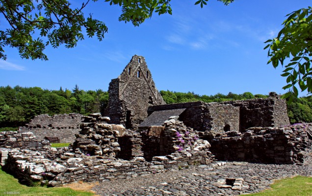 Glenluce Abbey
The ruins of Glenluce Abbey.  The Abbey was founded as a Cistercian Monestary in 1191/2 by Roland, Lord of Galloway, as a daughter house of Dundrennan Abbey.  [url=http://streetmap.co.uk/map.srf?X=218480&Y=558654&A=Y&Z=120/] Map location. [/url]
