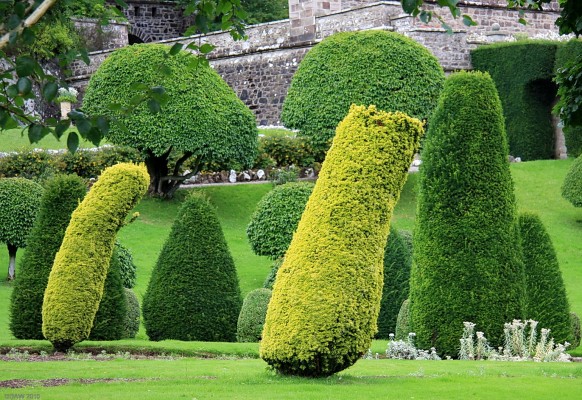 Drummond Castle Gardens
Sometimes its better to just go with the flow.  [url=http://www.streetmap.co.uk/map.srf?X=284435&Y=718002&A=Y&Z=115/] Map location. [/url]
