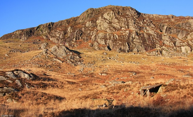Spot the Goat, Galloway Forest Park
Winter colours at the Wild Goat Park near Murrays Monument.  [url=http://www.streetmap.co.uk/map.srf?X=249635&Y=571950&A=Y&Z=120/] Map location. [/url]

