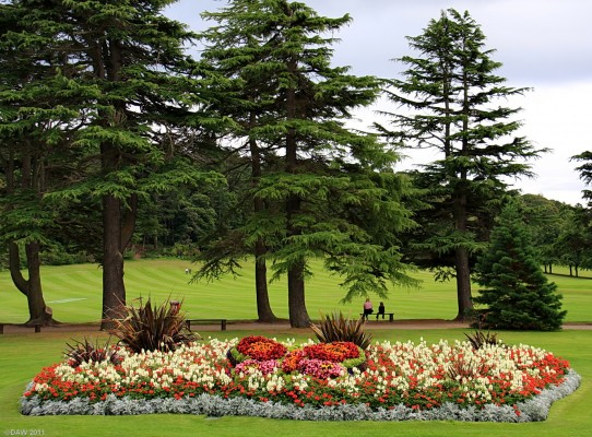 Another view of Grant Park, Forres.
[url=http://www.streetmap.co.uk/map.srf?X=304122&Y=859040&A=Y&Z=120/] Map location. [/url]
