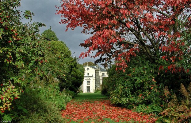 Greenbank House & Gardens, Autumn
