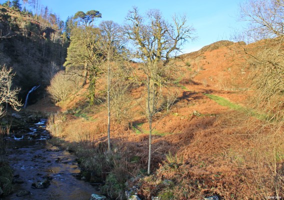 Grey Mare's Tail Burn
A winter view at the Grey Mare's Tail burn at Murray's Monument. [url=http://streetmap.co.uk/map?X=249101&Y=572042&A=Y&Z=115/] Map location. [/url]
