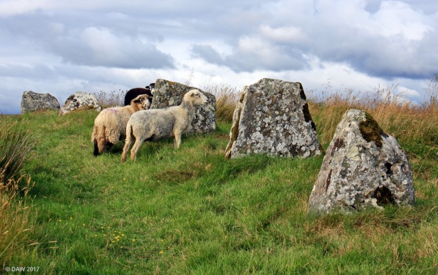 Guardians of the Stones, Achavanich
