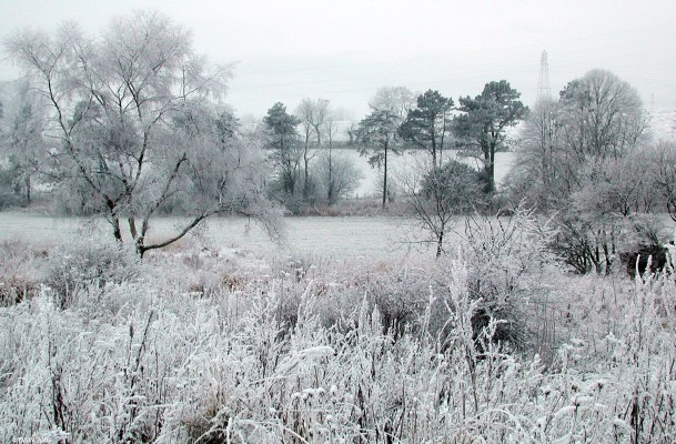 Hard frost, down near the pond, Neilston
