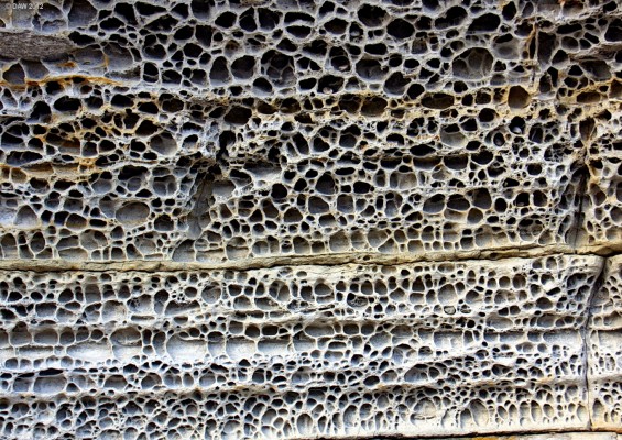Honeycomb eroded rock, Elgol
An eroded rock face on the beach at Elgol. [url=http://www.streetmap.co.uk/map.srf?X=151627&Y=813740&A=Y&Z=115/] Map location. [/url]
