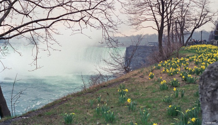 The Horseshoe falls, Niagara, 1989
