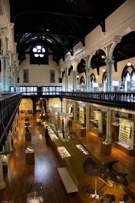 The Huntarian Museum, Glasgow
A view inside part of the [url=http://www.hunterian.gla.ac.uk/] Huntarian Museum. [/url] This hall is just part of the museum collection which is spread across 4 buildings.  The museum is one of the top five museums of Scotland.  Entry is free to all areas excepts the art Gallery. 
