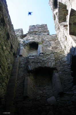 Inside Cardoness Castle
Inside the main tower at the ruins of Cardoness Castle near Gatehouse of Fleet.
