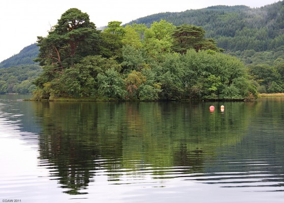 Inveruglas Isle, Loch Lomond
This small island lies a short distance from the shore of Loch Lomond at Inveruglas.  Hidden amongst the trees lies the ruins of a castle which was once the home of chiefs of Clan MacFarlane.  It was destroyed by Oliver Cromwell's troops in the 17th century.  [url=http://www.streetmap.co.uk/map.srf?X=232307&Y=709795&A=Y&Z=120/] Map location. [/url]
