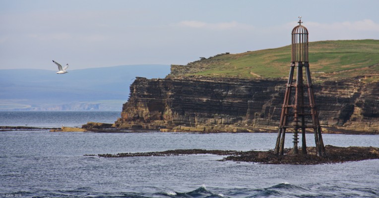 Isle of Stroma, Pentland Firth
The Skerries off Mell Head, Isle of Stroma.  [url=http://streetmap.co.uk/map.srf?X=334593&Y=975594&A=Y&Z=115/] Map location. [url]
