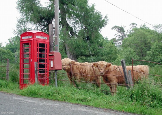Its good to talk... and post
A common scene around Scotland where you encounter a house, a telephone box and a post box.  This photo was taken near Garbhallt on Loch Fyne. [url=www.multimap.com/map/browse.cgi?lat=56.1227&lon=-5.167&scale=25000&icon=x/]Map location[/url]
