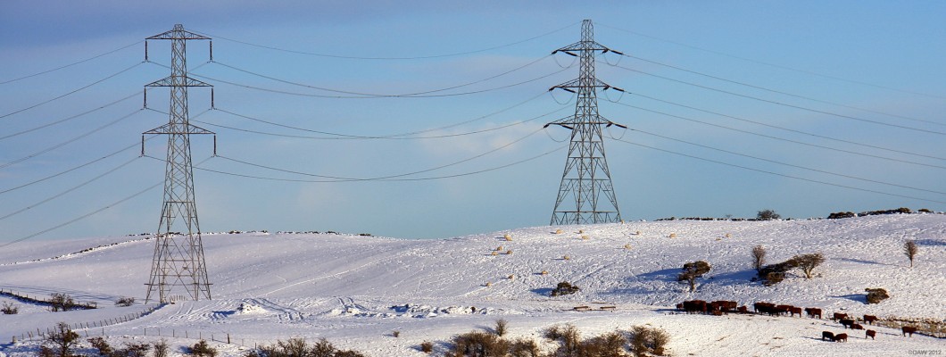January, XG68 and XG67
XG68 and XG67 watch over some sheep and cattle on Dyke Hill. [url=http://www.streetmap.co.uk/map.srf?X=247865&Y=655780&A=Y&Z=120/] Map location. [/url]
