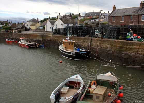 Johnshaven Harbour
Johnshaven is a small east coast fishing village, the harbour was completed in 1871 and by the end of the 19th century as many as 59 boats operated out of Johnshaven.  There used to be railway station in Johnshaven but that line closed in the 1960's.  The village today has the feeling of somewhere that time has forgot.  [url=http://streetmap.co.uk/map.srf?X=379529&Y=766945&A=Y&Z=115/] Map location. [/url]
