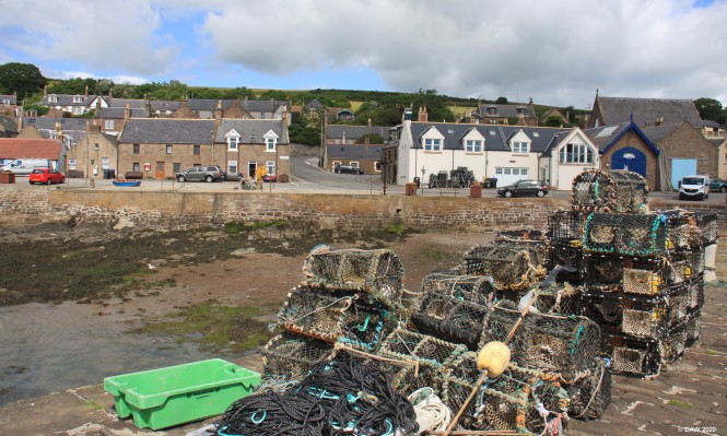 Johnshaven Harbour
[url=http://streetmap.co.uk/map.srf?X=379606&Y=766939&A=Y&Z=115/] Map location. [/url]
