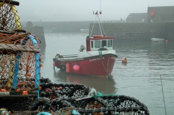 Johnshaven Harbour
This could be anywhere so you'll have to take my word thats its Johnshaven.  You'll see a common feature of many of my east coast photos is fog, or har as its called.  It can be a lovely sunny day to within a few miles of the North Sea coast and then you get this.  Even the seagulls are standing around waiting for it to clear.  It is a nice little village though, honest.  [url=www.multimap.com/map/browse.cgi?lat=56.7943&lon=-2.3359&scale=25000&icon=x/]Map location[/url]
