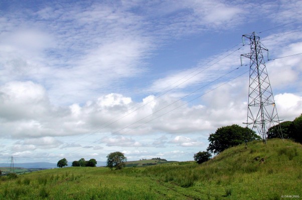 July, F45 and companion
F45 and its companion F44 soak up some summer rays near Gabroc Hill a few miles south of Neilston.  The tail of the Neilston Pad is in the centre of the picture.
