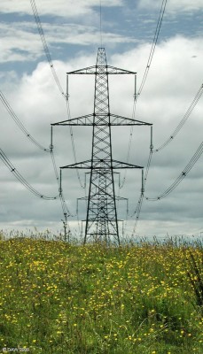 ZP22, July
ZP22 and friends seemingly at one with nature near Gabroc Hill south of Neilston.  [url=http://www.streetmap.co.uk/streetmap.dll?G2M?X=244500&Y=652500&A=Y&Z=3/]Map location.[/url]
