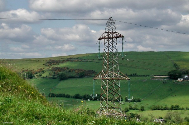 ZP13, June
ZP13 checks to see if the coast is clear at Howcraigs Hill.  [url=http://www.streetmap.co.uk/streetmap.dll?G2M?X=245440&Y=655685&A=Y&Z=3/]Map location[/url]
