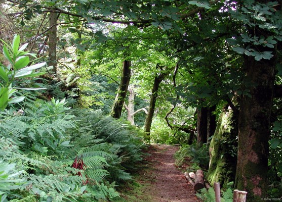 Kelburn Country Estate, Fairlie
Since 1977 the estate of [url=http://www.kelburncastle.com/]Kelburn Castle[/url] has been open to the public. There are extensive woodland walks with spectacular views over the Firth of Clyde.  A great place for a family day out.
