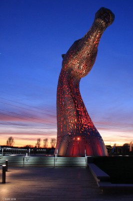 Kelpie at dusk
