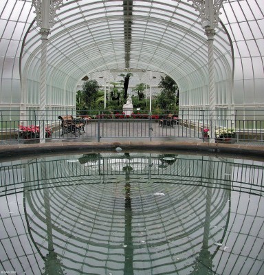 Inside Kibble Palace, Glasgow Botanic Garden
Looking down the linking corridor from the small dome to the large dome and rotunda at Kibble Palace.
