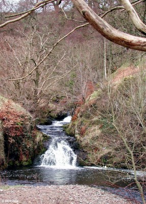 Waterfalls at Killoch Glen, winter
The lower water fall at Killoch Glen in Winter.  [url=http://www.streetmap.co.uk/map.srf?X=247852&Y=657947&A=Y&Z=120/] Map location. [/url]
