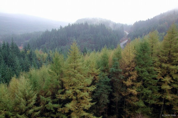 Kirroughtree Forest, Galloway
Large areas of Galloway are planted with commercial timber, but the countryside is still open to the public for walking and cycling.  This view is from Murray's Monument a few miles from  Netwon Stewart.
