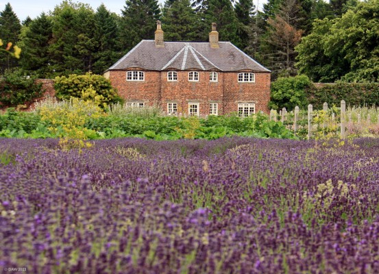 Castle Gordon Walled Garden, Fochabers
