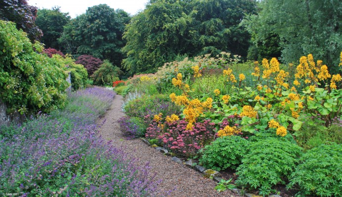 Leith Hall Gardens, Aberdeenshire
Summer colour despite a rainy day at Leith Hall.  [url=http://streetmap.co.uk/map?X=354006&Y=829812&A=Y&Z=115/] Map location. [/url]
